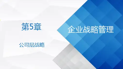 第5章 公司层战略