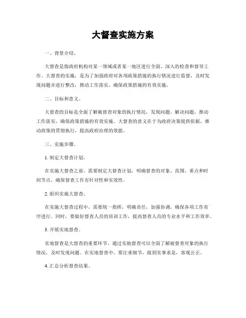 大督查实施方案