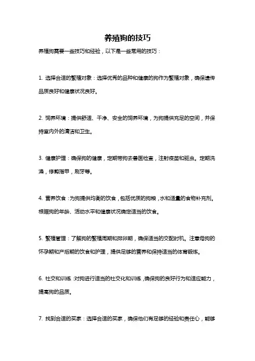 养殖狗的技巧