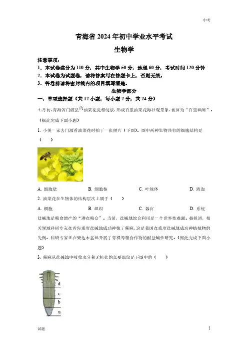 2024年青海省中考生物真题卷含答案解析