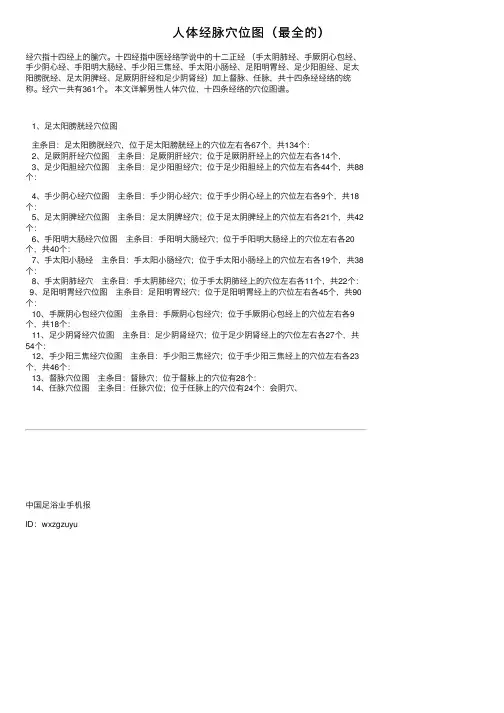 人体经脉穴位图（最全的）
