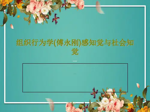 组织行为学(傅永刚)感知觉与社会知觉PPT62页