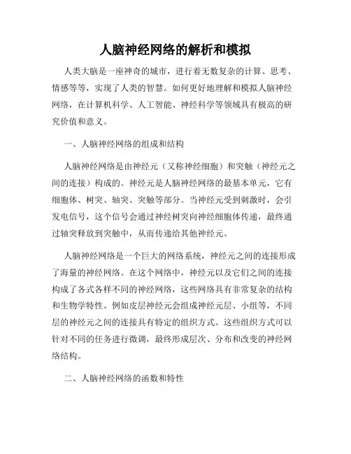 人脑神经网络的解析和模拟