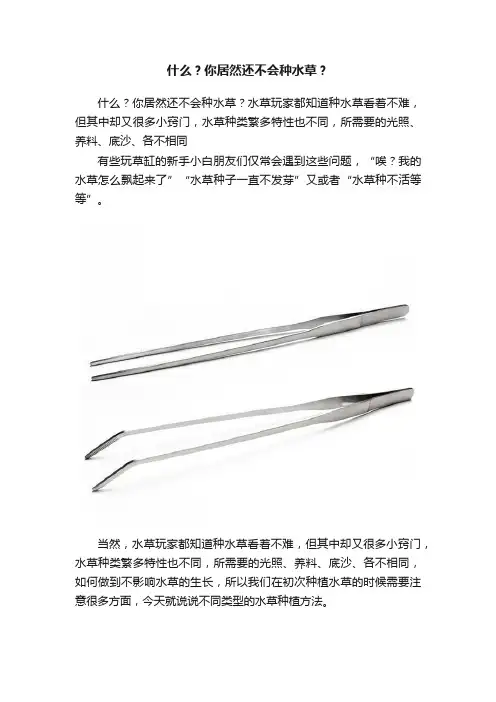 什么？你居然还不会种水草？