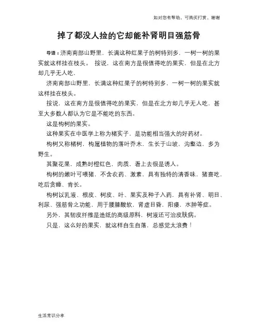 掉了都没人捡的它却能补肾明目强筋骨