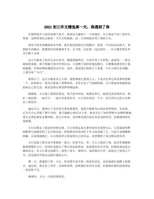 2021初三作文精选那一天,我遇到了你