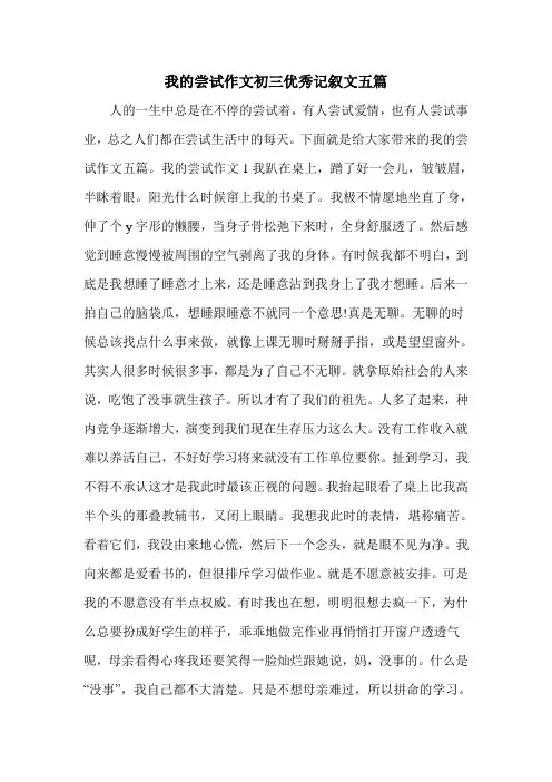 我的尝试作文初三优秀记叙文五篇