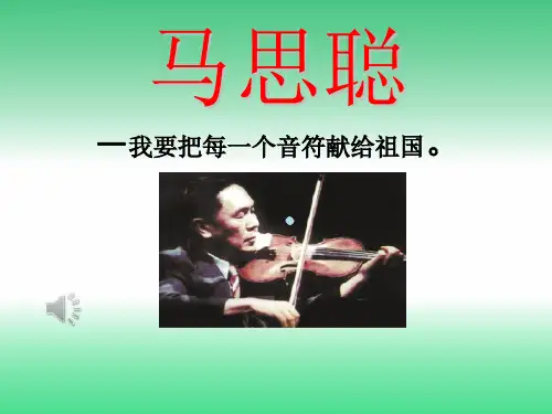 海丰马思聪简介课件