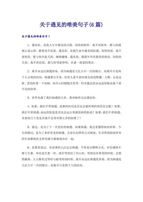 关于遇见的唯美句子(6篇)
