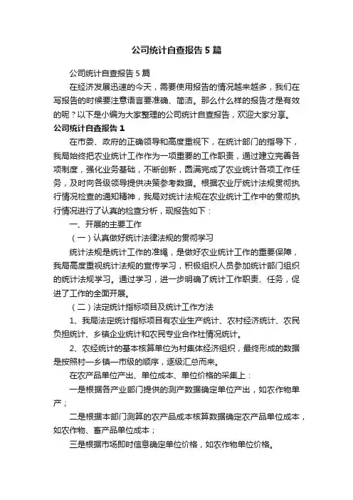 公司统计自查报告5篇