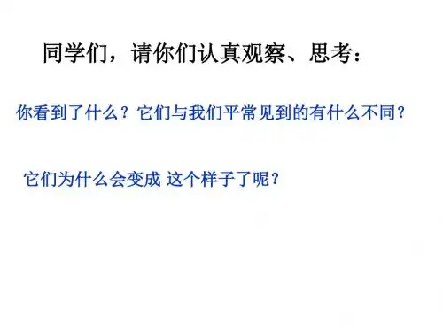 六年级科学上册馒头发霉了课件1苏教版