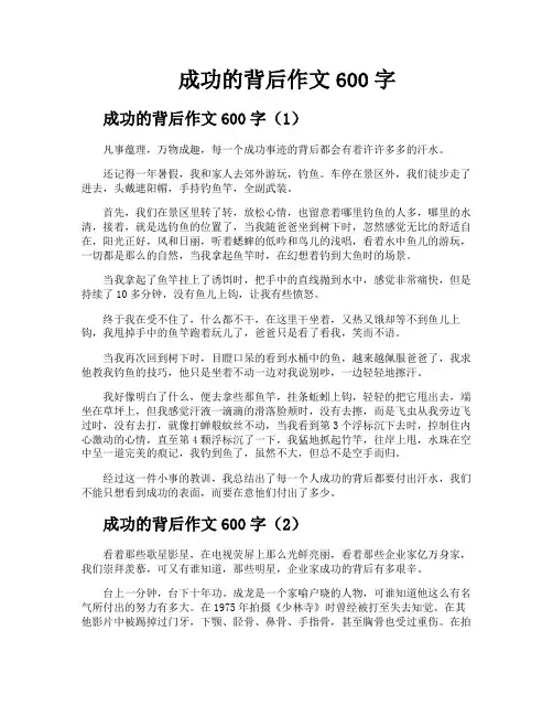 成功的背后作文600字