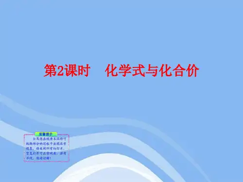 九年级化学上册 第2课时 化学式与化合价同步授课课件 鲁教版