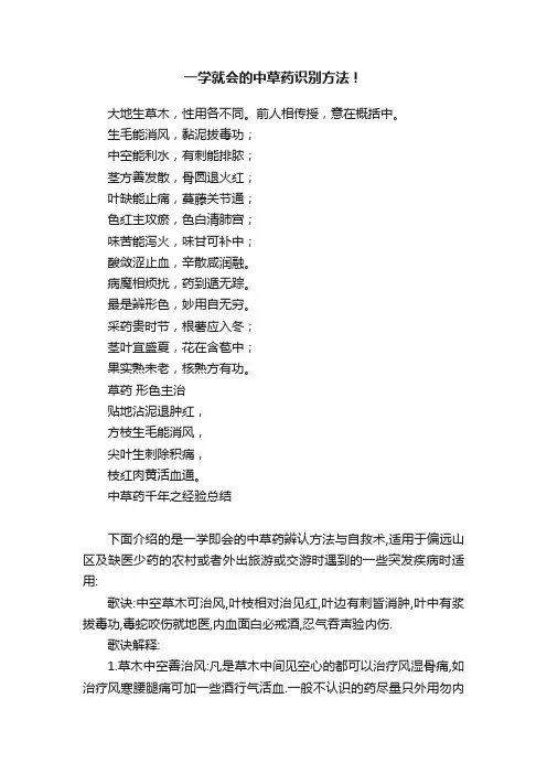 一学就会的中草药识别方法！