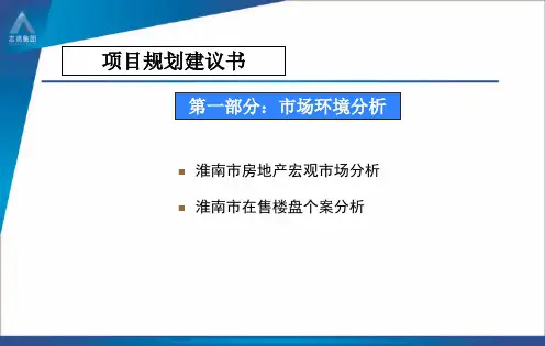 安徽淮南市房产项目规划建议书复习过程