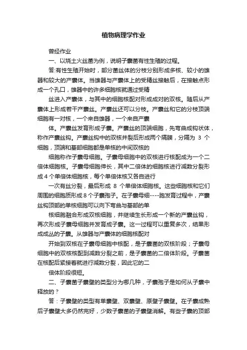 植物病理学作业