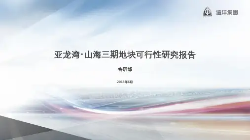 亚龙湾山海三期地块可行性研究报告第二部分