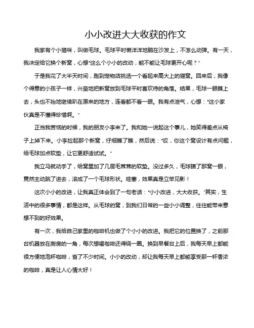 小小改进大大收获的作文