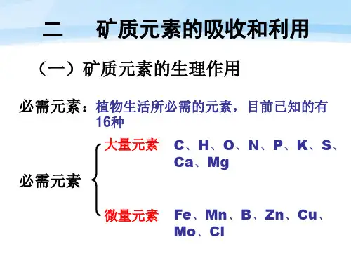 矿质元素的吸收和利用