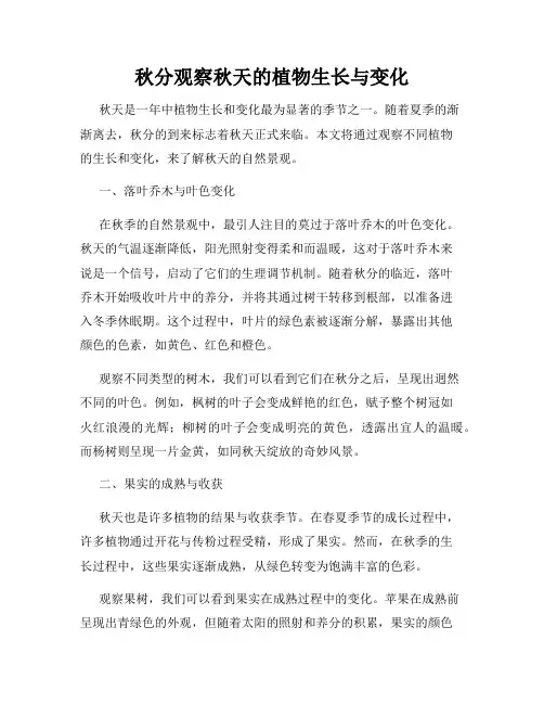 秋分观察秋天的植物生长与变化