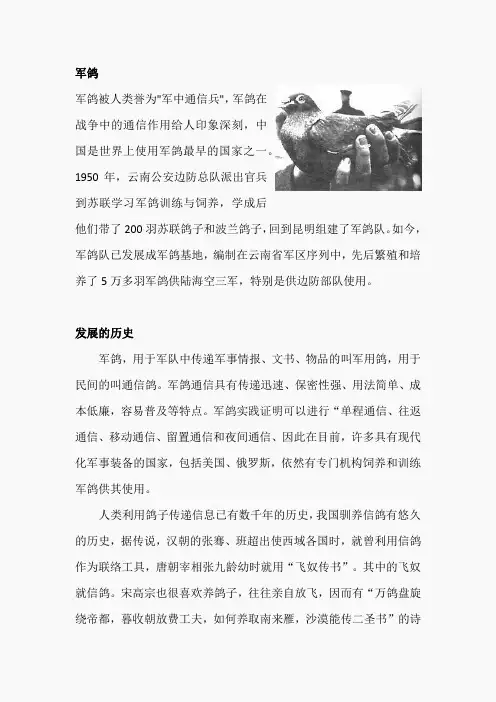 10.鸽血染红的求救信(相关资料)(4)