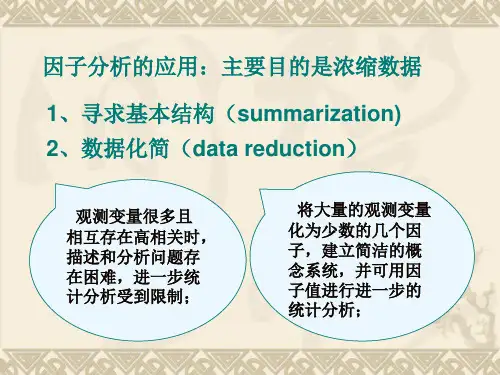 因子分析ppt课件