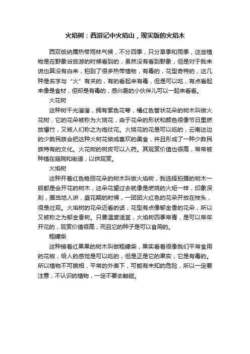 火焰树：西游记中火焰山，现实版的火焰木