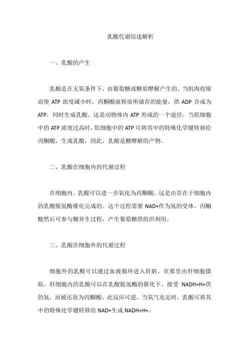 乳酸代谢综述解析