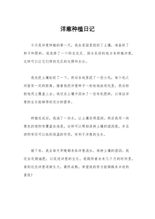 洋葱种植日记