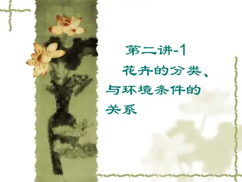 花卉的分类
