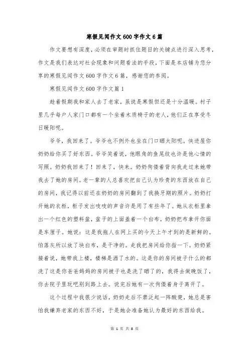 寒假见闻作文600字作文6篇