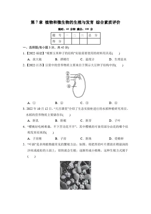 华师大版科学七年级下册第7章 植物和微生物的生殖与发育 综合素质评价