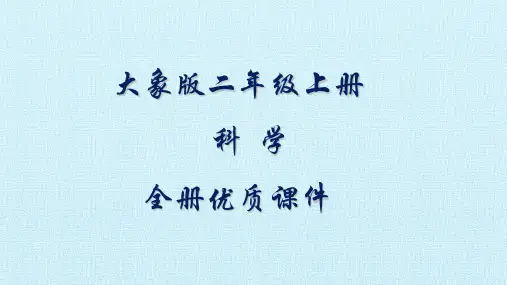 大象版科学二年级上册全册优质课件(新教材)