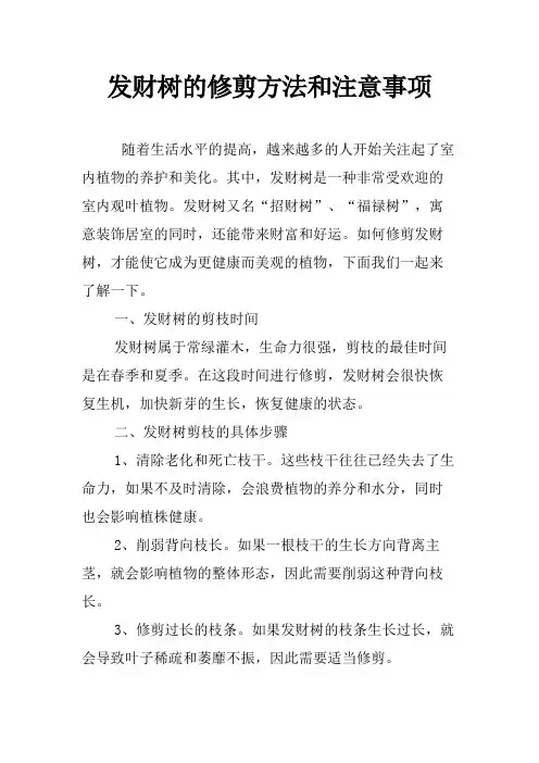 发财树的修剪方法和注意事项