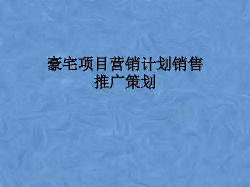 豪宅项目营销计划销售推广策划