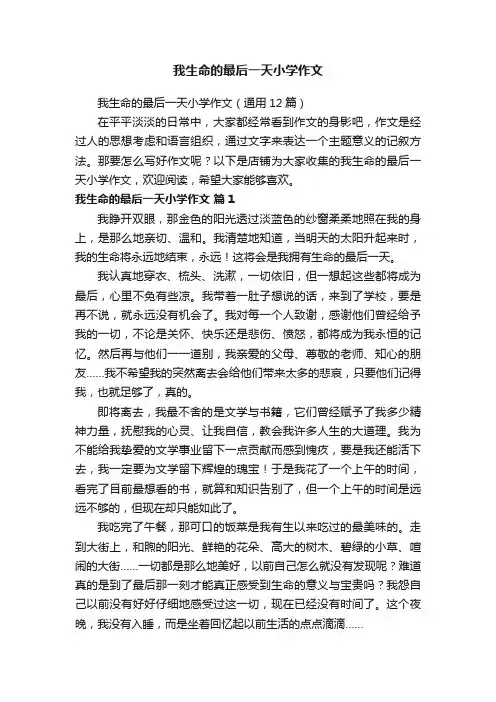 我生命的最后一天小学作文
