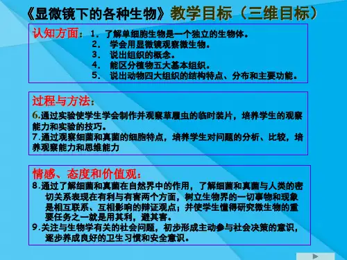 显微镜下的各种生物——细菌和真菌PPT课件 浙教版优秀课件