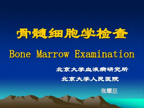 骨髓细胞学检查