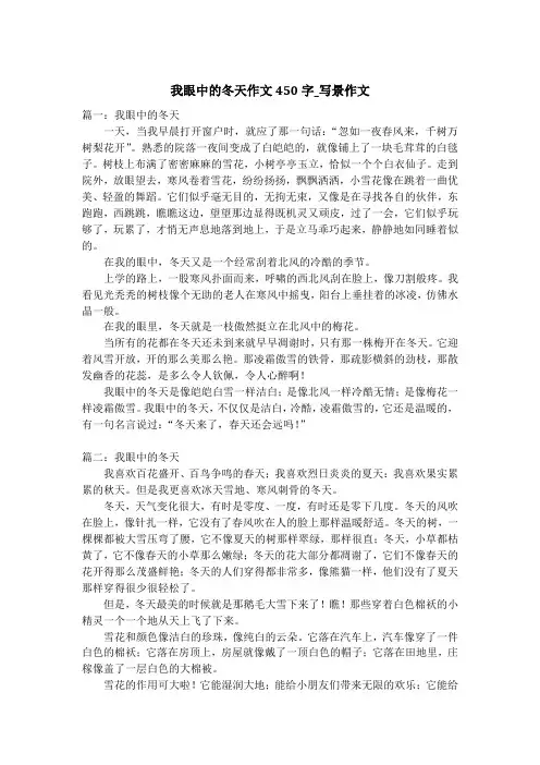 我眼中的冬天作文450字_写景作文
