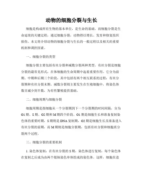 动物的细胞分裂与生长