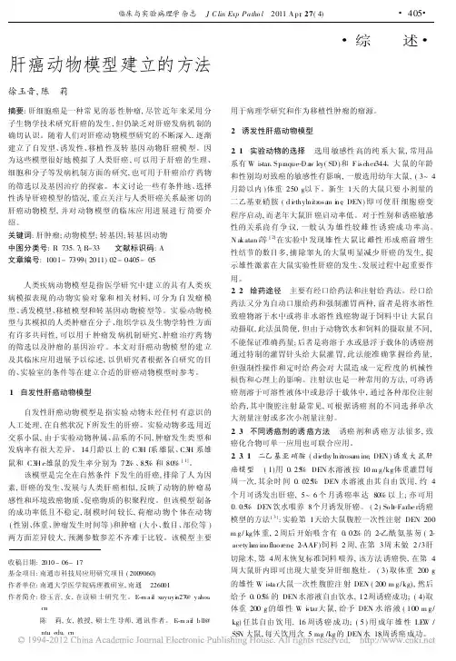 肝癌动物模型建立的方法
