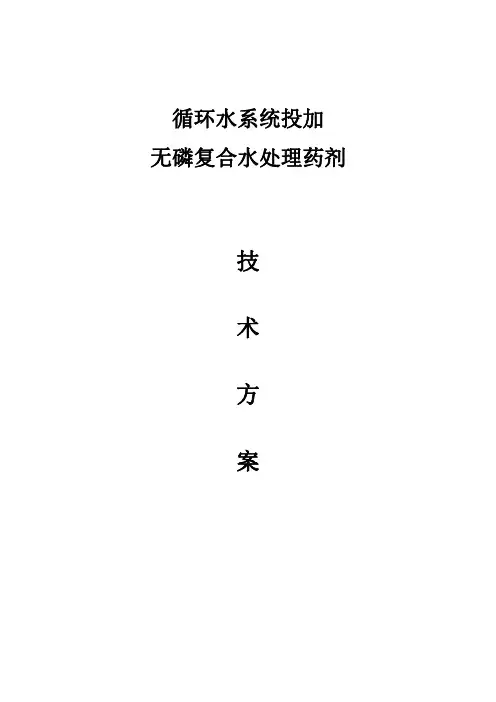 循环水系统投加药剂技术方案