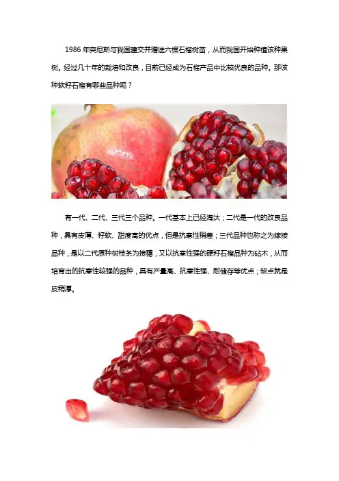 突尼斯软籽石榴品种