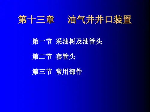 油气井井口装置课件