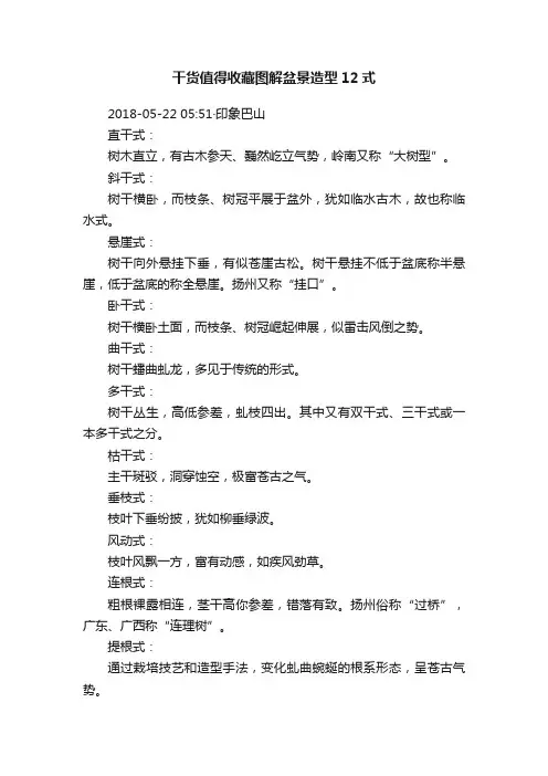 干货值得收藏图解盆景造型12式