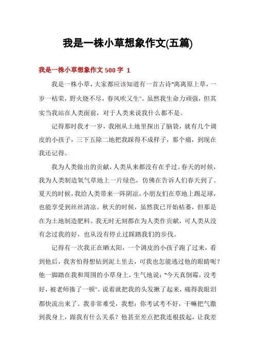 我是一株小草想象作文(五篇)