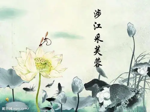 涉江采芙蓉说课稿 - 副本