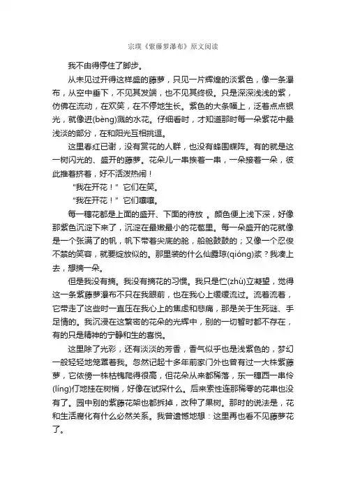 宗璞《紫藤萝瀑布》原文阅读