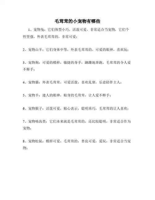 毛茸茸的小宠物有哪些