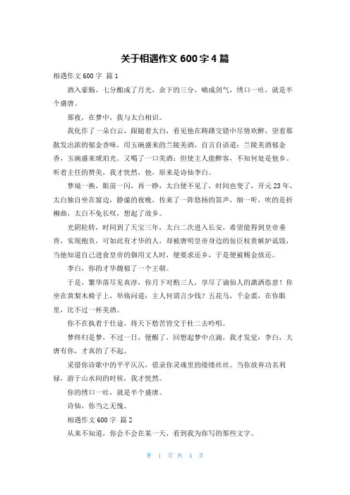 关于相遇作文600字4篇